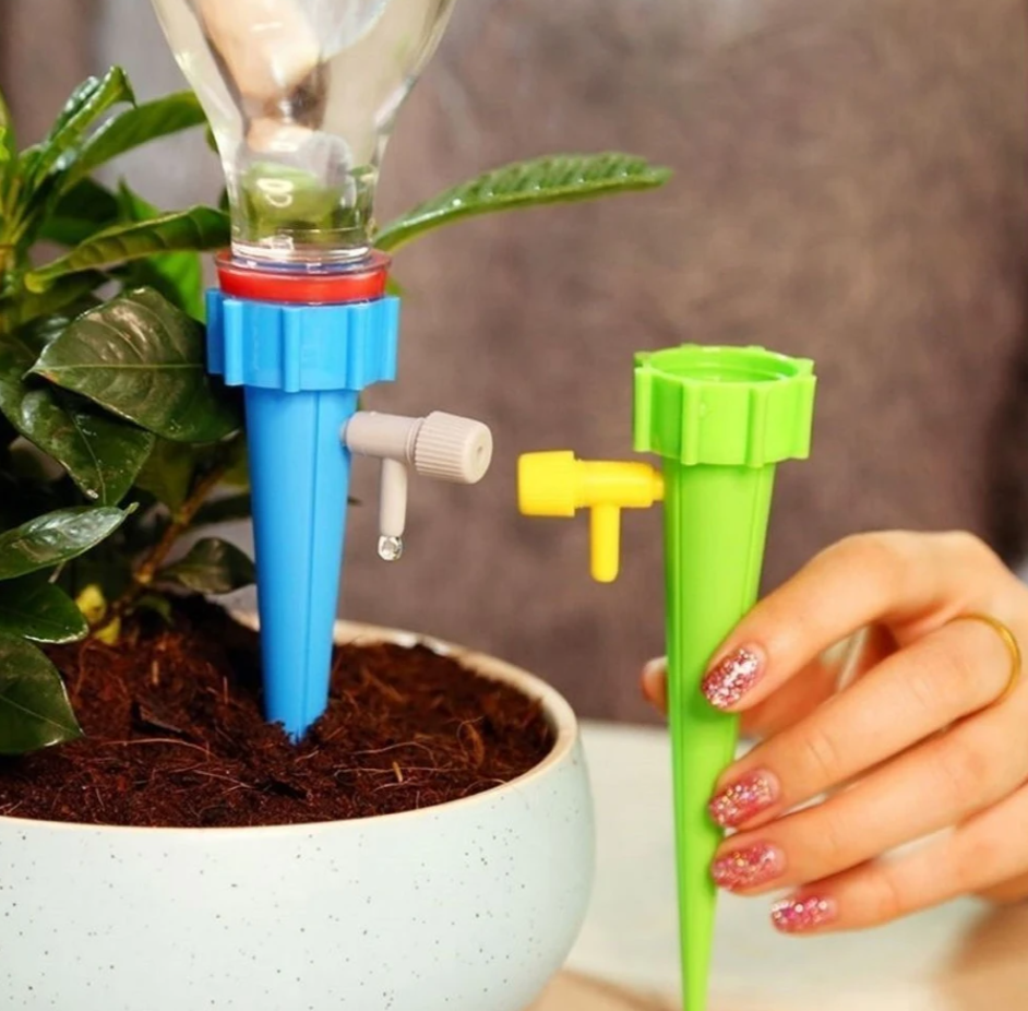 Self watering plant Spike