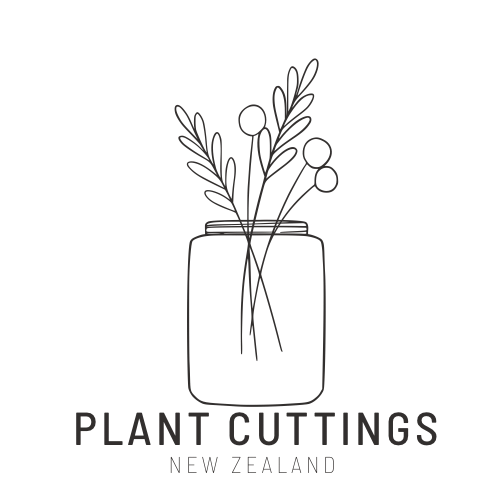 Plant Cuttings New Zealand