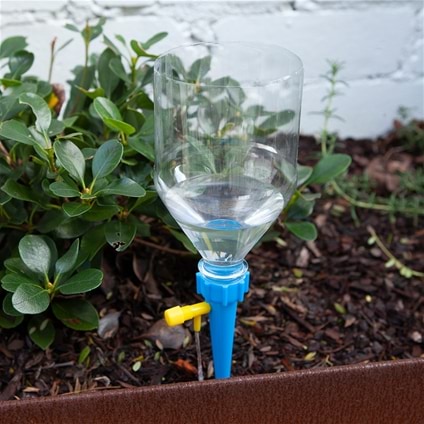 Self watering Plant Spike