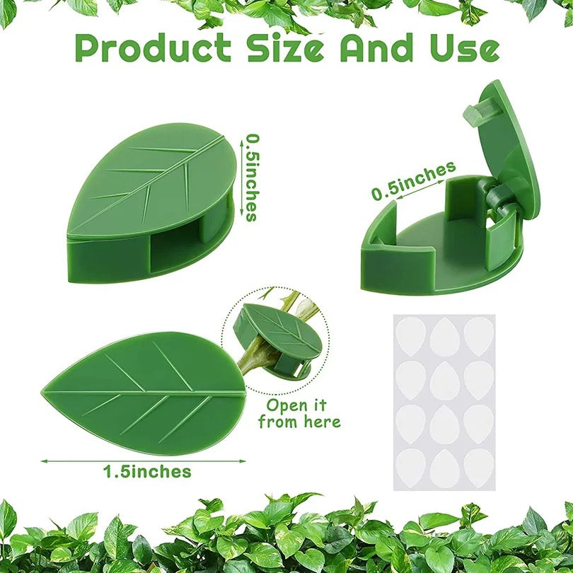 Product size guide showing 3 leaf clips with size scales