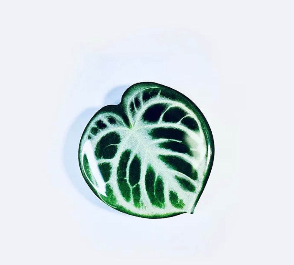 Anthurium Crystal Hope Green Vibrant Pop Socket