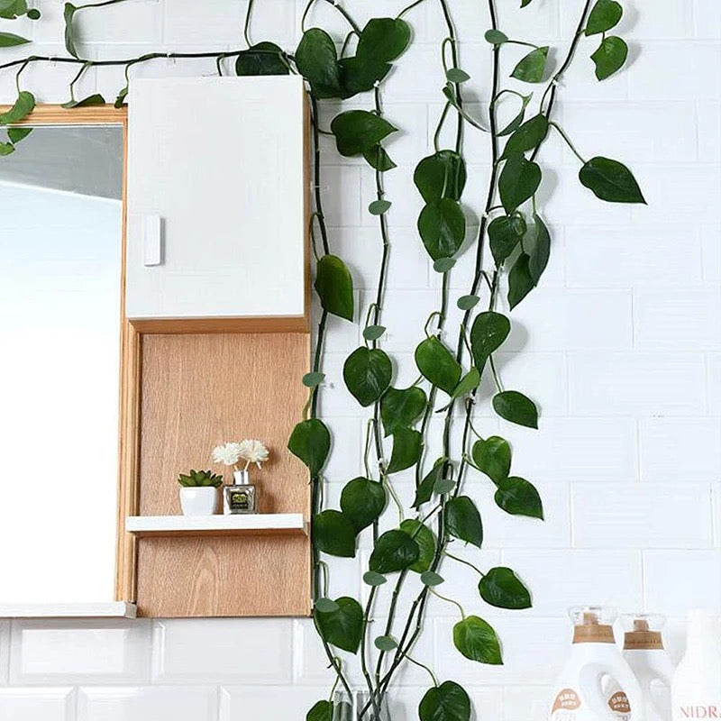 plants trailing up kitchen wall