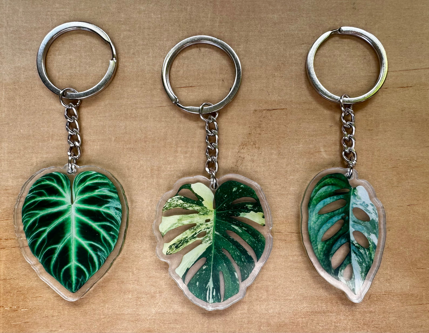Monstera Thai Constellation, Variegated Monkey Mask Acrylic Resin Keychain 