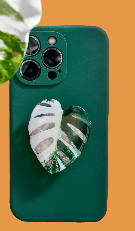 Monstera Albo Popsocket